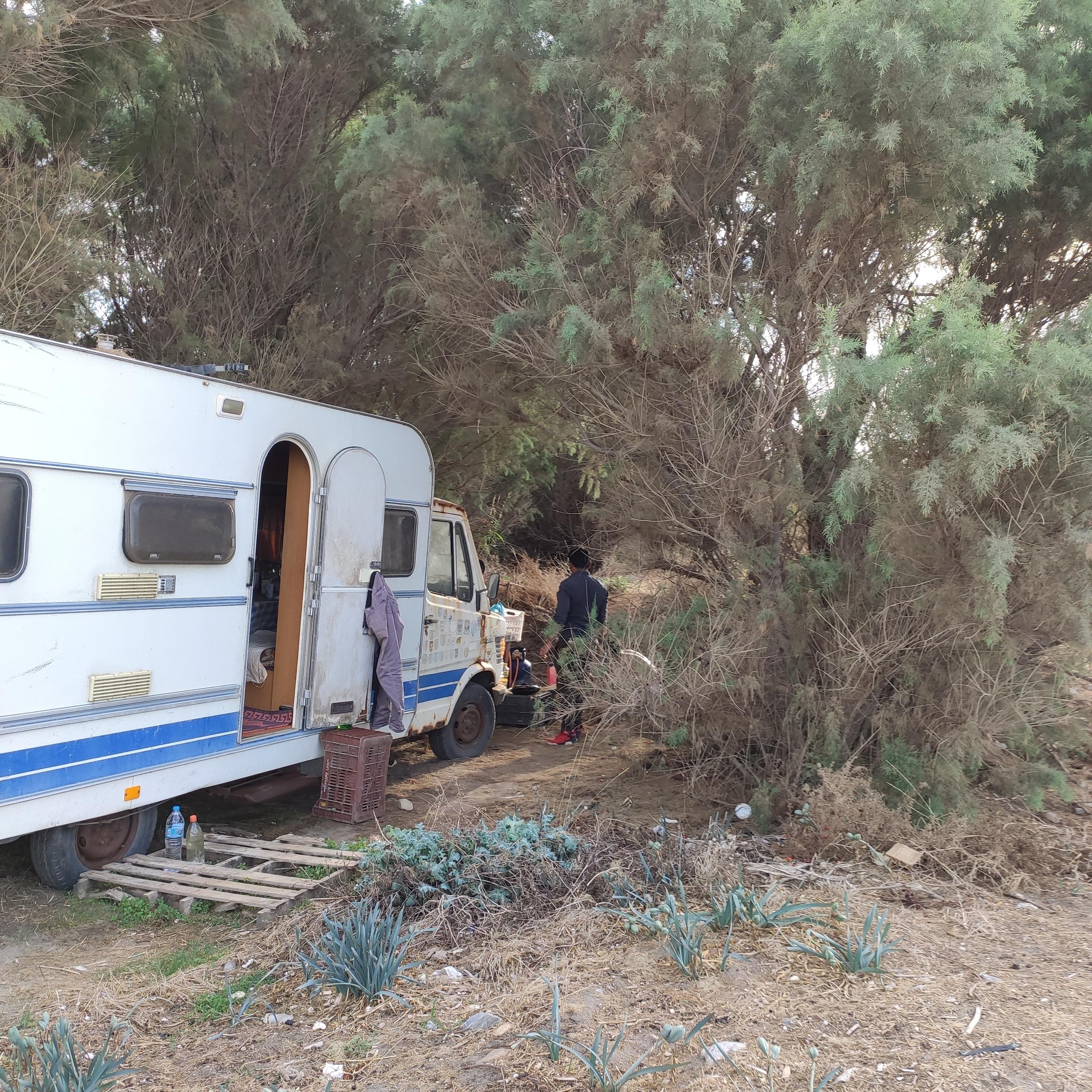 Γκαζιερα φαγητο